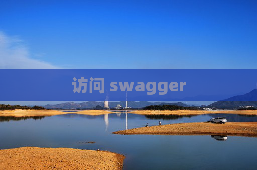 访问 swagger
